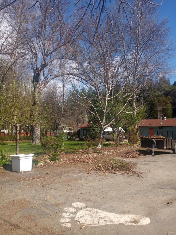 Bigfoot Rv & Cabins Park Happy Camp Exterior photo